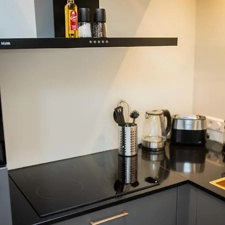 Spectacular 70m2 Penthouse With Terrace - R51c Lägenhet *