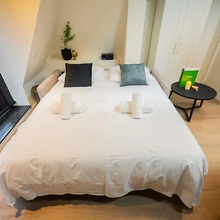 公寓 Spectacular 70m2 Penthouse With Terrace - R51c 埃因霍温