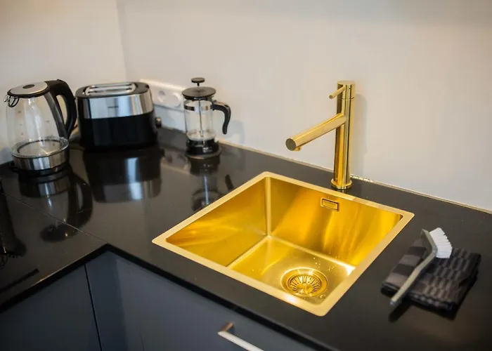 Spectacular 70m2 Penthouse With Terrace - R51c Eindhoven